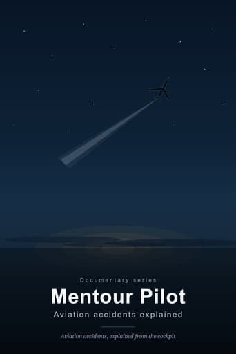 Mentour Pilot: Aviation Accidents explained (2020) poster