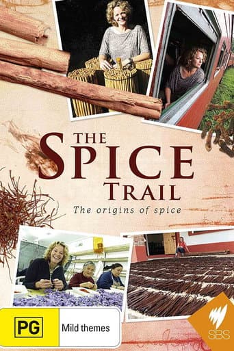 The Spice Trail (2011) poster
