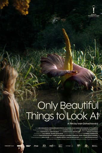 Only Beautiful Things to Look At (2026) poster