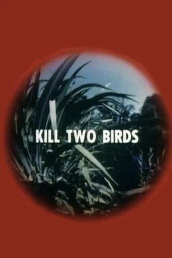 Kill Two Birds (1975) poster
