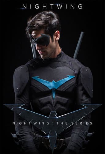 Nightwing: The Series (2014) poster