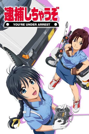 You're Under Arrest (1994) poster