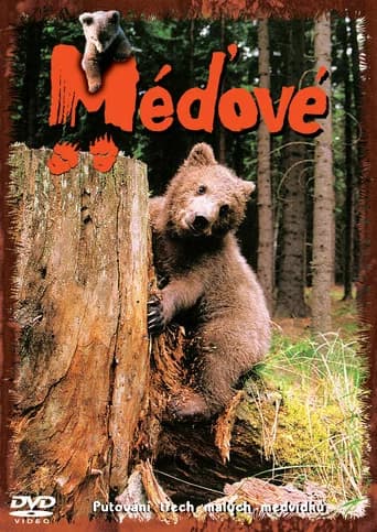 Méďové (2001) poster