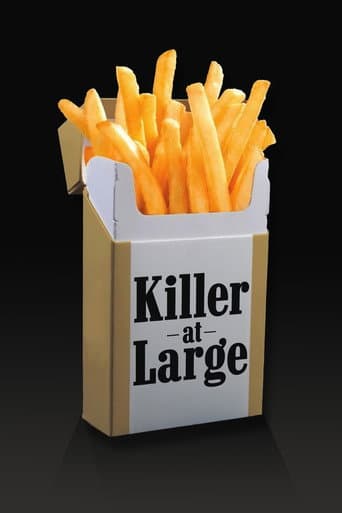 Killer at Large (2008) poster