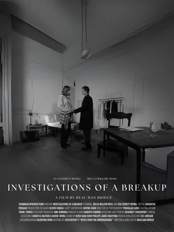 Investigations of a Breakup (2025) poster