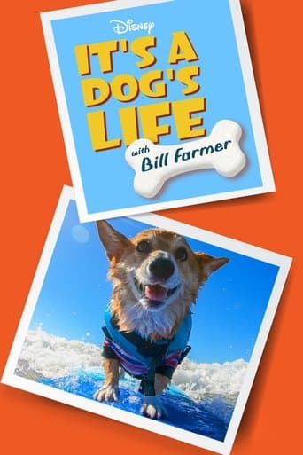 It's a Dog's Life with Bill Farmer (2020) poster