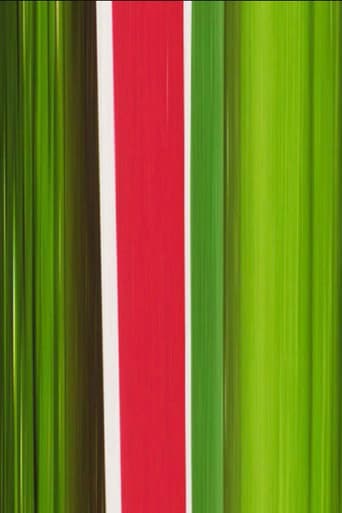 Heineken (2007) poster