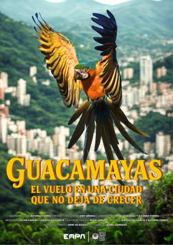 Guacamayas: El vuelo en una ciudad que no deja de crecer (2026) poster