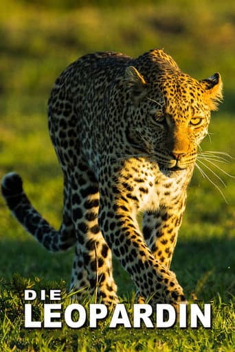 The Leopardess (2021) poster
