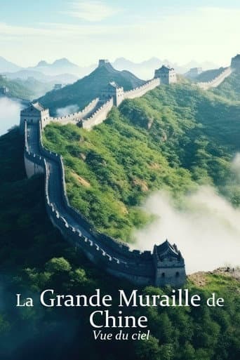Flying the Great Wall (2018) poster