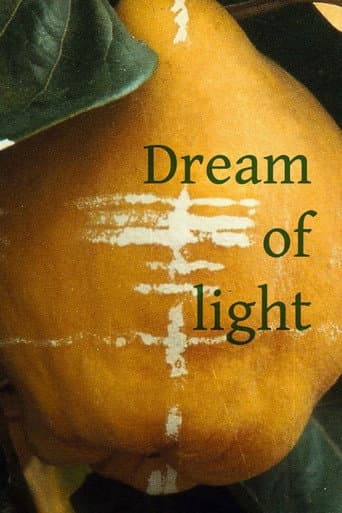 Dream of Light (1992) poster