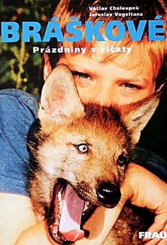 Bráškové (2003) poster