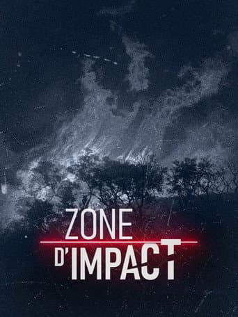 Zone d'impact (2024) poster