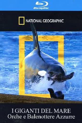 Orca Killing School (2009) poster