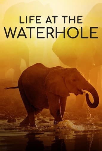 Life at the Waterhole (2021) poster