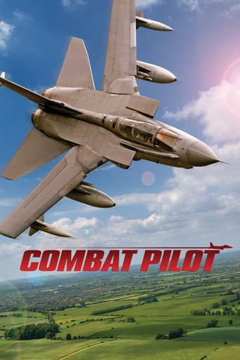 Combat Pilot (2004) poster