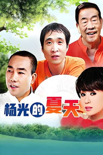 杨光的夏天 (2013) poster