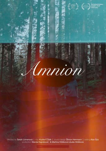 Amnion (2025) poster