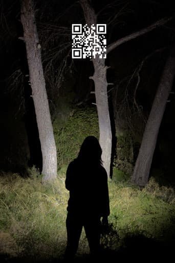 Q.R. (2025) poster