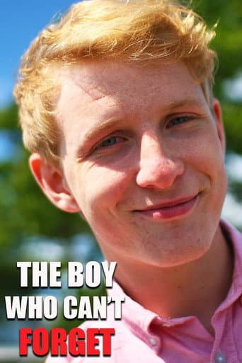 The Boy Who Can't Forget (2012) poster