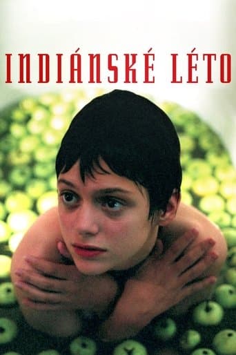 Indian Summer (1995) poster
