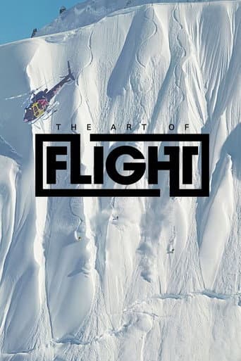 Art of Flight: The Series (2012) poster