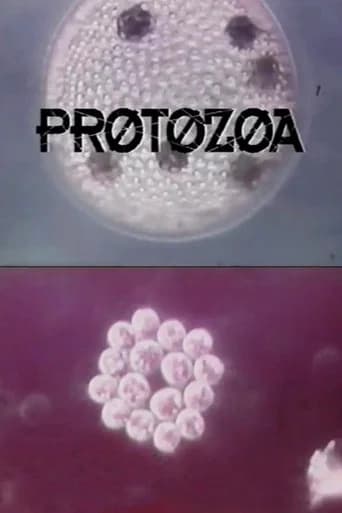 Protozoa (1993) poster