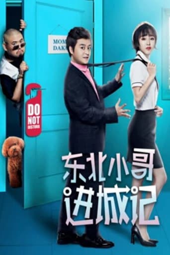 东北小哥进城记 (2019) poster