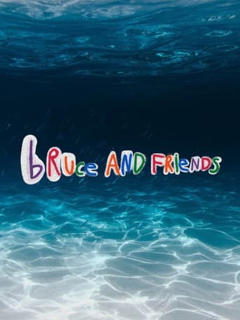 Bruce And Friends (2024) poster