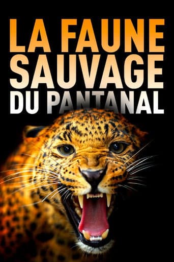 Among Big Cats and Anteaters - With Lydia Möcklinghoff in Brazil's wildlife (2021) poster
