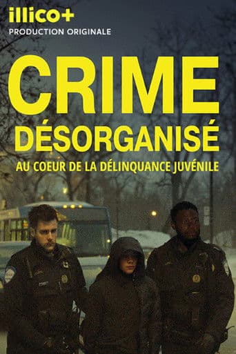 Crime désorganisé: au cœur de la délinquance juvénile (2025) poster