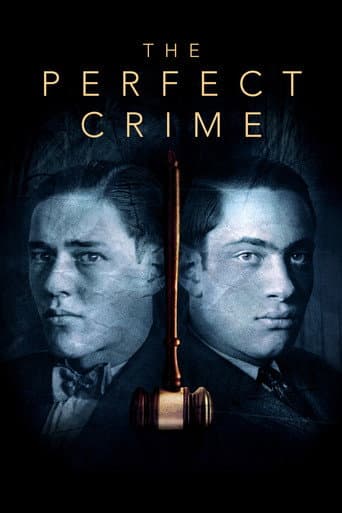 The Perfect Crime: Leopold & Loeb (2016) poster
