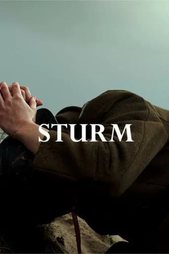 Sturm (2024) poster