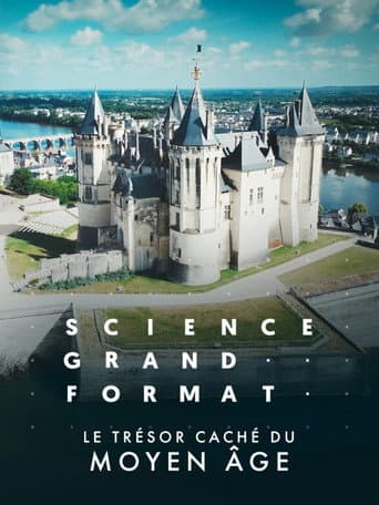 Le trésor caché du Moyen Age (2025) poster