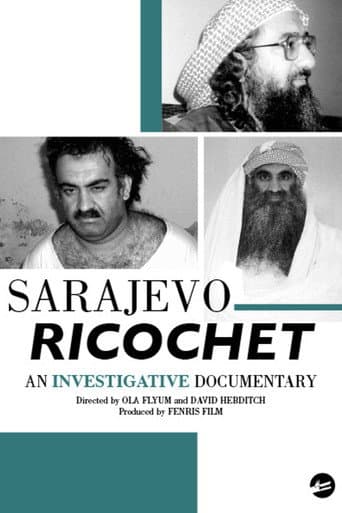 Sarajevo Ricochet Part 1: The US Green Light (2011) poster