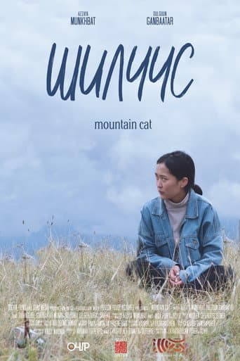 Mountain Cat (2020) poster