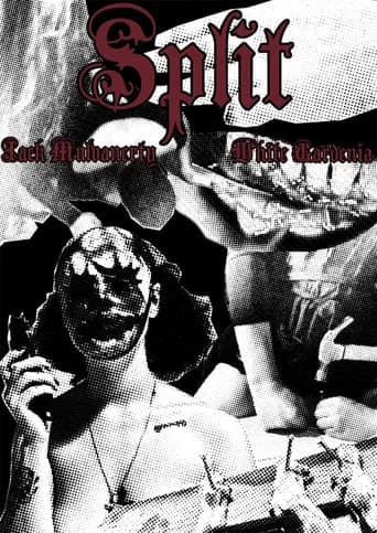 Split (2022) poster