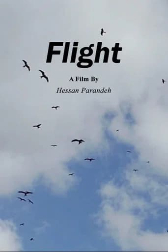Flight (2023) poster