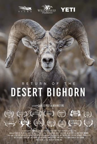 Return of the Desert Bighorn (2018) poster