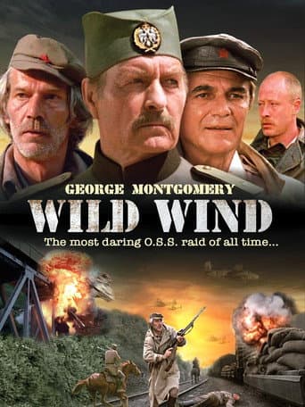 Wild Wind (1985) poster