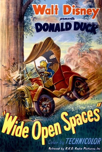 Wide Open Spaces (1947) poster