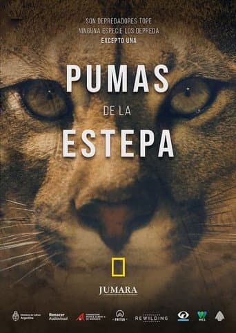 Pumas de la estepa (2023) poster