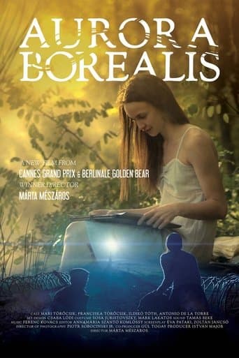 Aurora Borealis: Northern Light (2017) poster