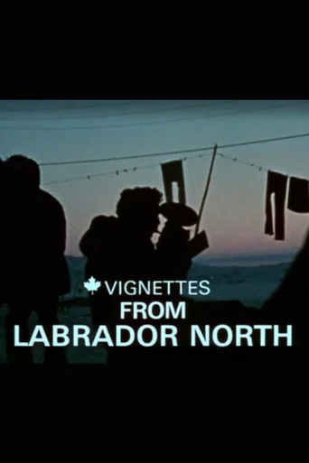 Canada Vignettes: Vignettes from Labrador North (1979) poster