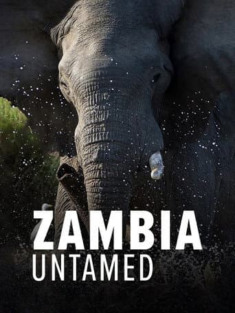 Zambia Untamed (2017) poster
