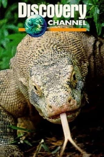 Dragons of Komodo poster