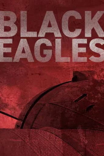Black Eagles (2024) poster