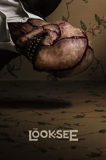 The Look-See (2017) poster