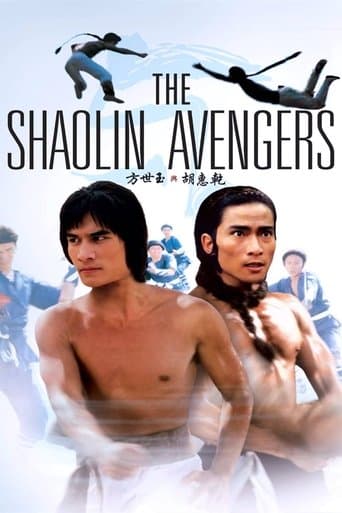 The Shaolin Avengers (1976) poster