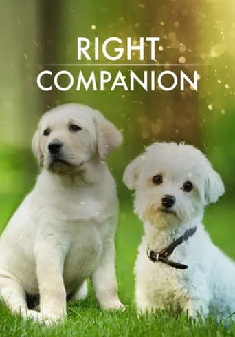 The Right Companion (2009) poster